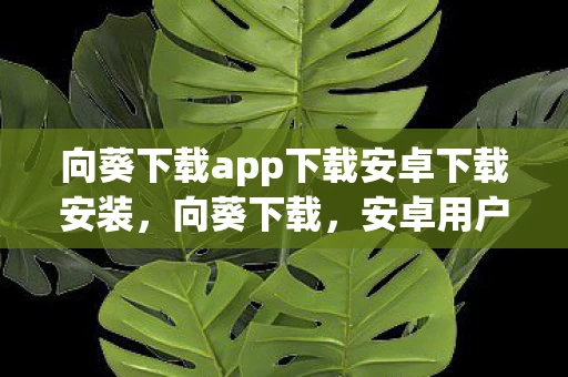 向葵下载app下载安卓下载安装，向葵下载，安卓用户的福音