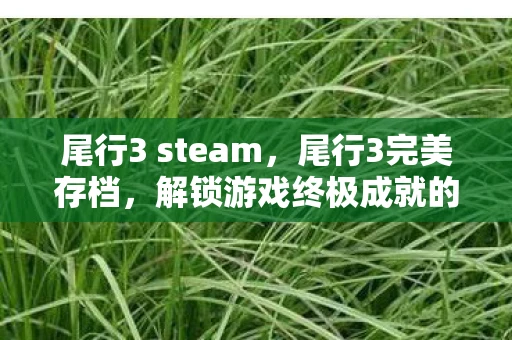 尾行3 steam，尾行3完美存档，解锁游戏终极成就的秘籍