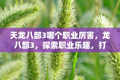 天龙八部3哪个职业厉害，龙八部3，探索职业乐趣，打造个性化游戏体验