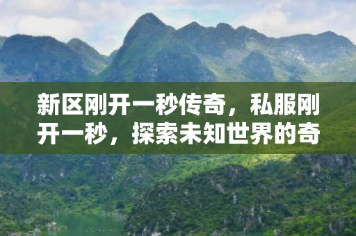 新区刚开一秒传奇，私服刚开一秒，探索未知世界的奇妙之旅