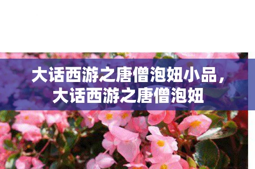 大话西游之唐僧泡妞小品，大话西游之唐僧泡妞