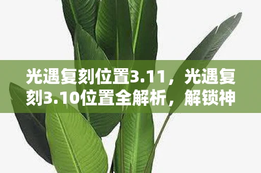 光遇复刻位置3.11，光遇复刻3.10位置全解析，解锁神秘地图，探索未知领域