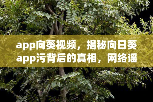 app向葵视频，揭秘向日葵app污背后的真相，网络谣言与不良信息的警示