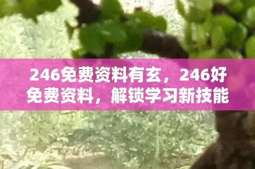 246免费资料有玄，246好免费资料，解锁学习新技能，提升自我价值的宝藏资源