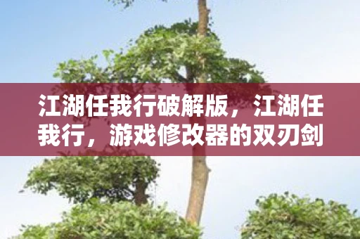 江湖任我行破解版，江湖任我行，游戏修改器的双刃剑