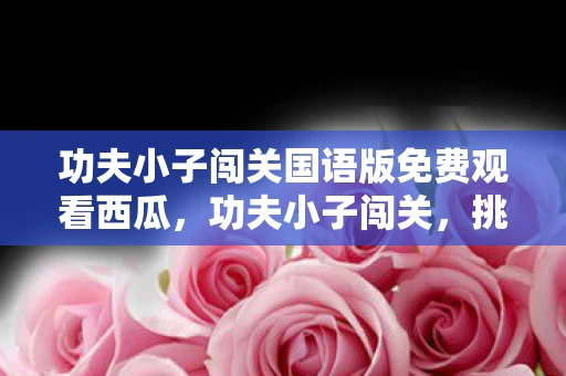 功夫小子闯关国语版免费观看西瓜，功夫小子闯关，挑战与成长的故事