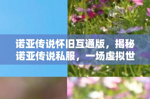 诺亚传说怀旧互通版，揭秘诺亚传说私服，一场虚拟世界的灰色地带探险