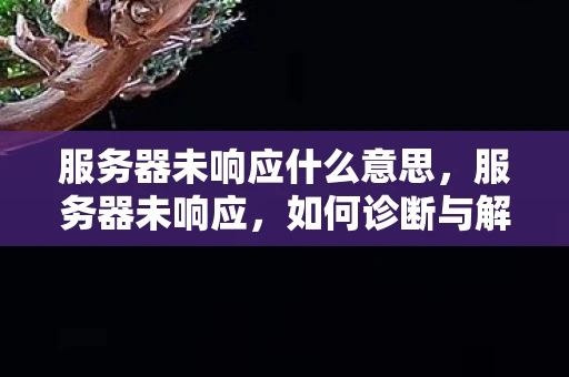 服务器未响应什么意思，服务器未响应，如何诊断与解决