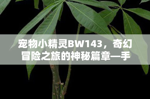 奇幻冒险之旅的神秘篇章图片