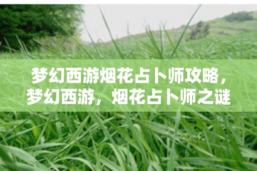 梦幻西游烟花占卜师攻略，梦幻西游，烟花占卜师之谜