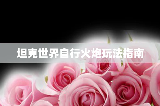 坦克世界自行火炮玩法指南