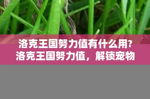 洛克王国努力值有什么用?洛克王国努力值，解锁宠物潜能，打造强大阵容