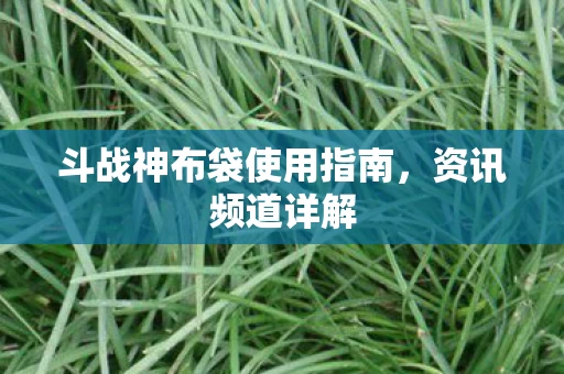 斗战神布袋使用指南图片