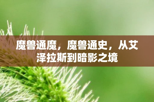 魔兽通魔，魔兽通史，从艾泽拉斯到暗影之境