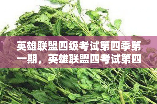 英雄联盟四级考试第四季第一期，英雄联盟四考试第四季，挑战与机遇并存