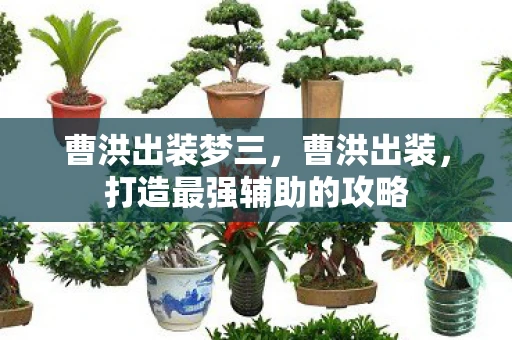 曹洪出装梦三，曹洪出装，打造最强辅助的攻略