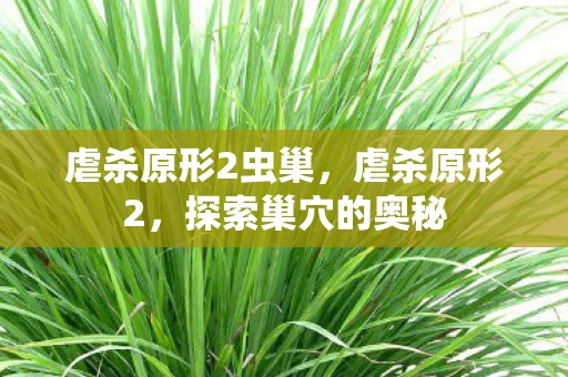 虐杀原形2虫巢，虐杀原形2，探索巢穴的奥秘