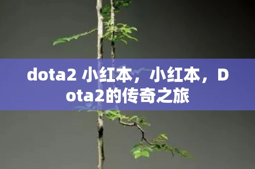 dota2 小红本，小红本，Dota2的传奇之旅