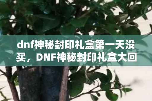dnf神秘封印礼盒第一天没买，DNF神秘封印礼盒大回馈，解锁你的游戏宝藏