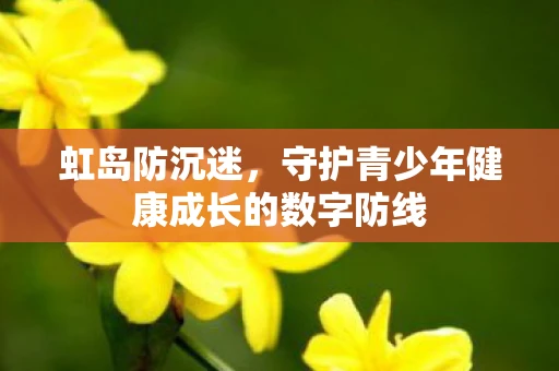 虹岛防沉迷，守护青少年健康成长的数字防线