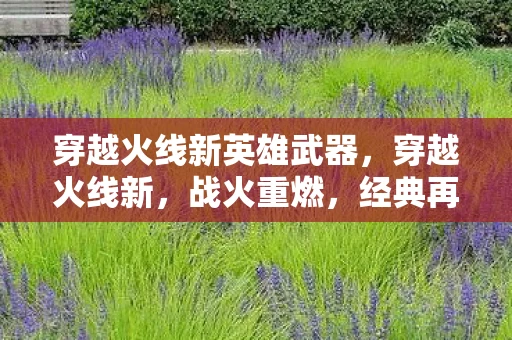 穿越火线新英雄武器，穿越火线新，战火重燃，经典再现