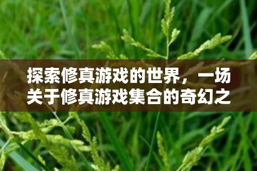 一场关于修真游戏集合的奇幻之旅图片
