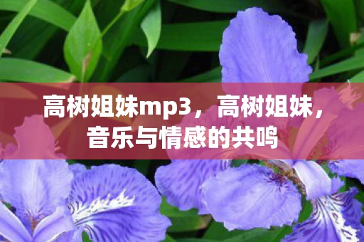 高树姐妹mp3，高树姐妹，音乐与情感的共鸣