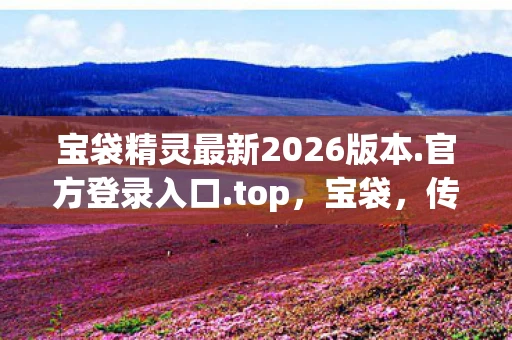 宝袋精灵最新2026版本.官方登录入口.top，宝袋，传说中的神秘宝物