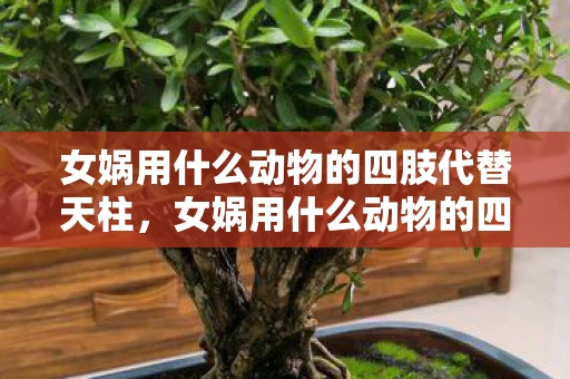 女娲用什么动物的四肢代替天柱，女娲用什么动物的四肢