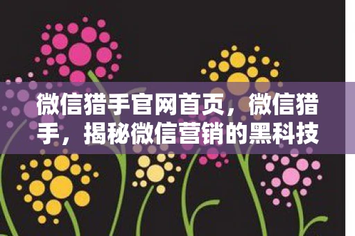 微信猎手官网首页，微信猎手，揭秘微信营销的黑科技