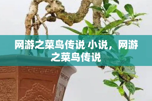 网游之菜鸟传说 小说，网游之菜鸟传说