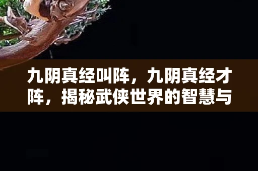 九阴真经叫阵，九阴真经才阵，揭秘武侠世界的智慧与策略