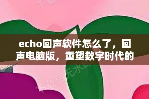 echo回声软件怎么了，回声电脑版，重塑数字时代的沟通方式