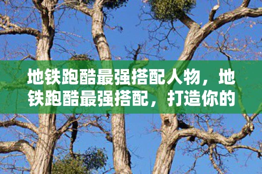 地铁跑酷最强搭配人物，地铁跑酷最强搭配，打造你的专属跑酷风格