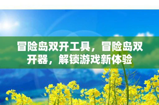 冒险岛双开工具，冒险岛双开器，解锁游戏新体验