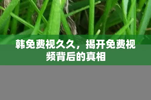 韩免费视久久，揭开免费视频背后的真相