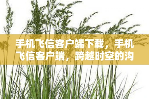 手机飞信客户端下载，手机飞信客户端，跨越时空的沟通桥梁