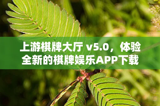 体验全新的棋牌娱乐APP下载图片