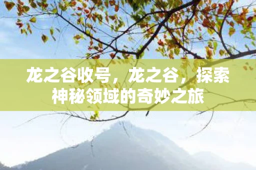 龙之谷收号，龙之谷，探索神秘领域的奇妙之旅