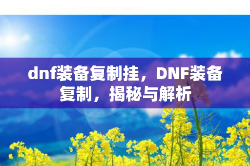 dnf装备复制挂，DNF装备复制，揭秘与解析