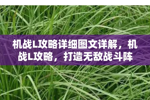 机战L攻略详细图文详解，机战L攻略，打造无敌战斗阵容的秘诀