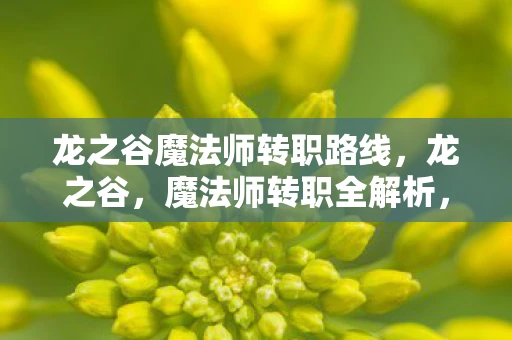 龙之谷魔法师转职路线，龙之谷，魔法师转职全解析，助你打造最强法师！