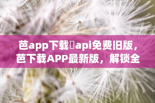 芭app下载汅api免费旧版，芭下载APP最新版，解锁全新功能与体验