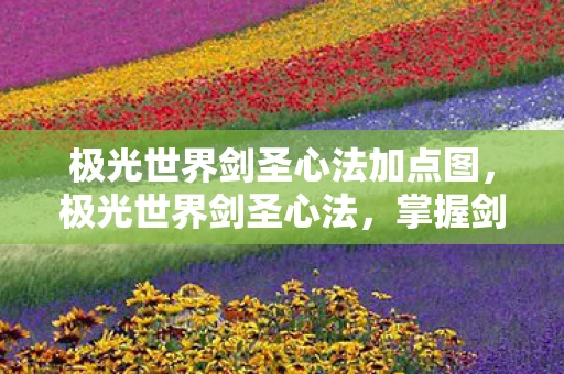 极光世界剑圣心法加点图，极光世界剑圣心法，掌握剑道精髓，成就无敌剑神