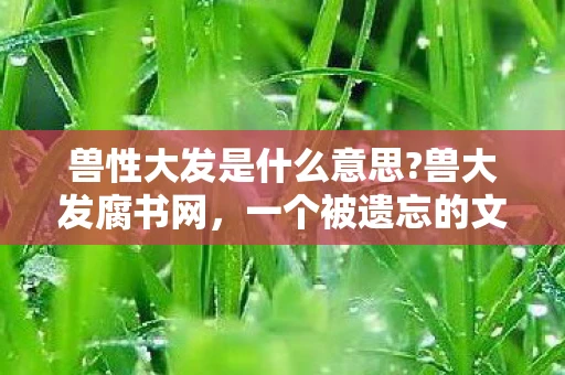 兽性大发是什么意思?兽大发腐书网，一个被遗忘的文学宝藏