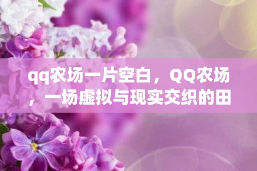 qq农场一片空白，QQ农场，一场虚拟与现实交织的田园梦