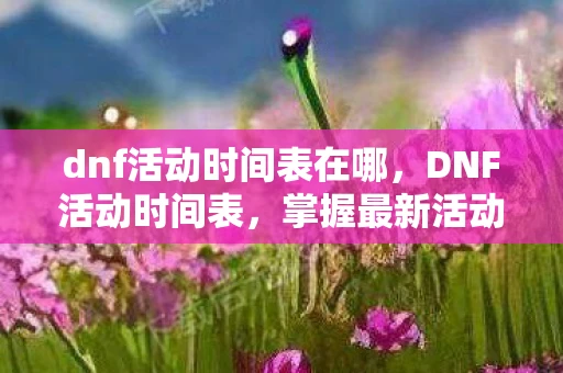 dnf活动时间表在哪，DNF活动时间表，掌握最新活动，赢取丰厚奖励
