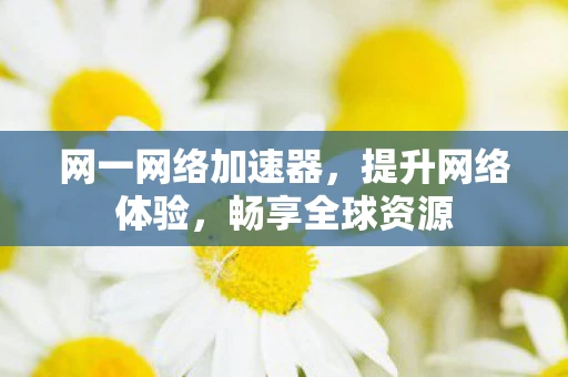 网一网络加速器，提升网络体验，畅享全球资源