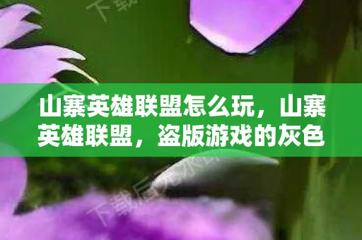 山寨英雄联盟怎么玩，山寨英雄联盟，盗版游戏的灰色地带与文化侵权