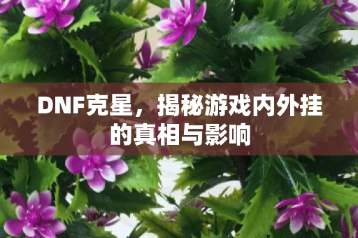DNF克星，揭秘游戏内外挂的真相与影响